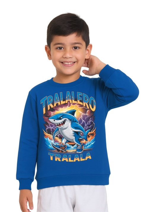 Детска блуза за момче с дълъг ръкав, син цвят 