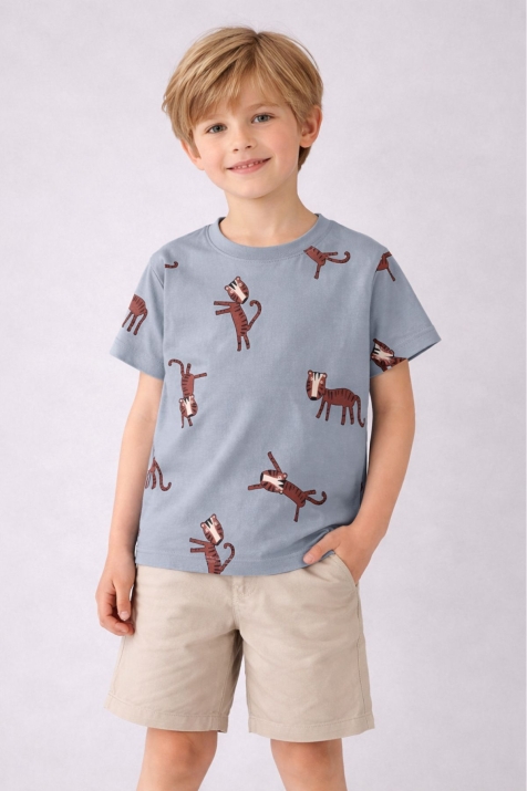 Детска тениска за момче, сив цвят 