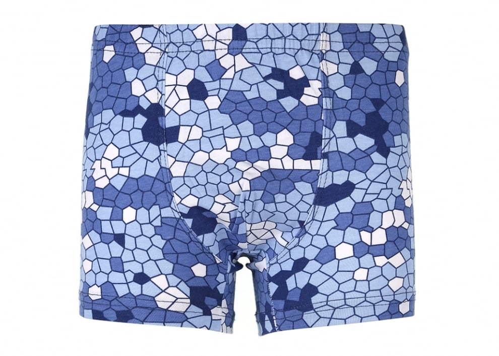 Детски боксерки за момче,син цвят