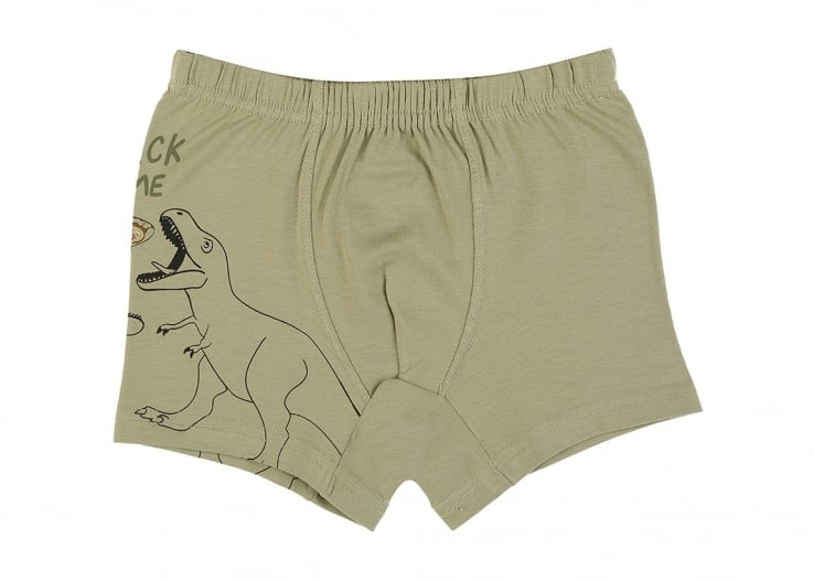 Детски боксер за момче,зелен  цвят