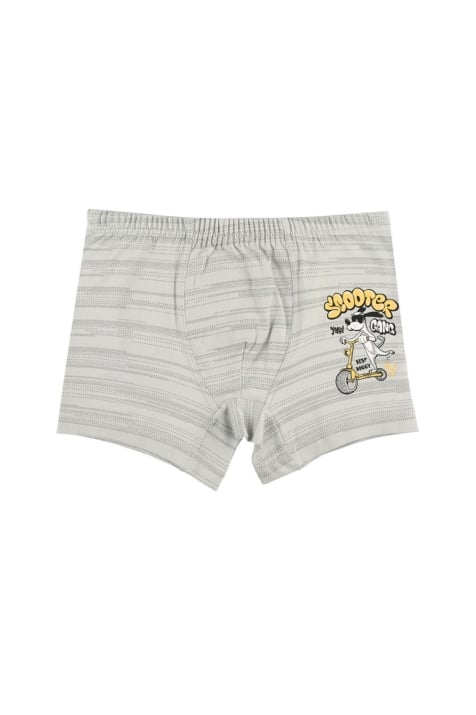 Детски боксерки за момче,сив цвят