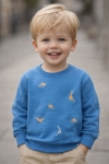 Детска блуза за момче с дълъг ръкав, син цвят