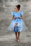 Детска рокля с къс ръкав Frozen, син цвят